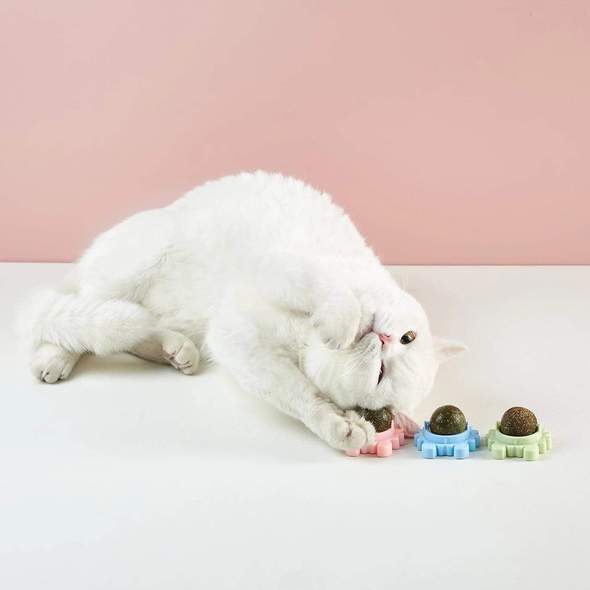 Catnip Ball Toy – Teething Cleaning