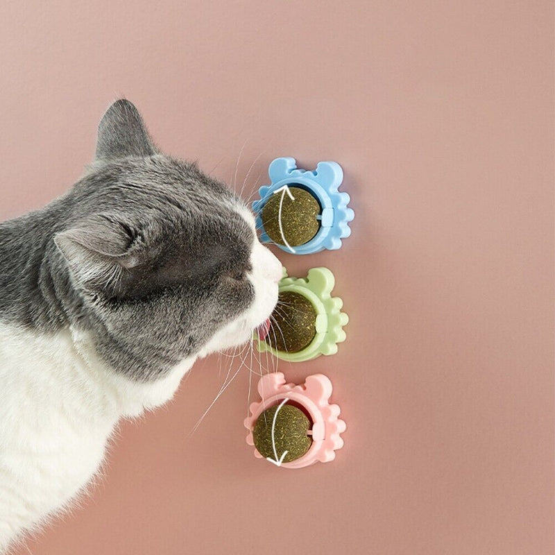 Catnip Ball Toy – Teething Cleaning